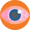 eye 7